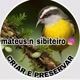 MATEUS NOBRE SIBITEIRO