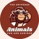 Fun and Curious Animals