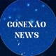 conexão news