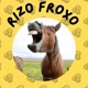Rizo froxo