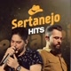 Hits Sertanejo