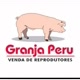 Daniel Televendas Granja Peru