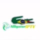 Alligator Iptv