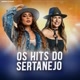 Os Hits do Sertanejo
