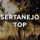 sertanejo top