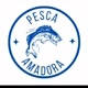 pesca amadora 2.0