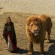 Narnia Lion