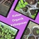Kebun Organik Kebagusan