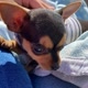 Billyopinscher