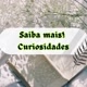 Saiba Mais! Curiosidades!