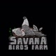savana birdsfarm