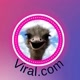 viral.com