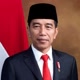 Jokowi Dodo
