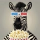 Zebra Filmes & Series