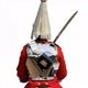 Royal Guard
