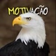 Motivação de Águia 🦅