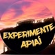 experimenteapiai