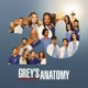 Grey's love