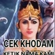 cek khodam