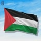 save_palestina29