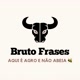 Bruto Frases 🐝