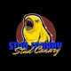 Stud Canary