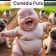 ☆Comédia Pura☆☆