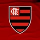 Flamengo ❤️🖤