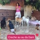 creche au au do Ismael Dani Silva