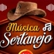 Musica sertanejo