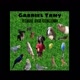 Gabriel Tamy047