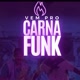 vem pro carna funk