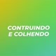 Construindo e colhendo