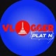 vloggerplatn