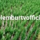 lemburtvofficial