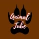 Animal Tube