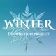 Winter Decoration Project