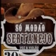 🎵🎶🎸música sertaneja e suces🎵🎶🎸