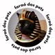 Faraó dos pets