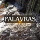 Palavras