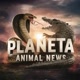 News Planeta Animal