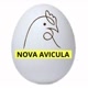 Nova Avicula