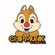 CHIPMUNK EXPLORE