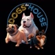 DogsdaHouse