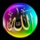 HAMBA_ALLAH1729