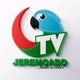 Jeremoabo Tv