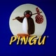 Pingu Clipes