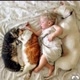 Love pets&Kids♥️