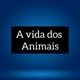 A vida dos animais