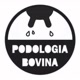 podologia_bovina